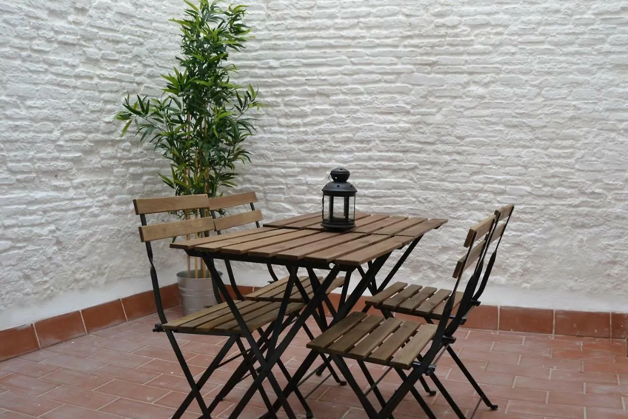 Tu Patio En Sevilla Spain
